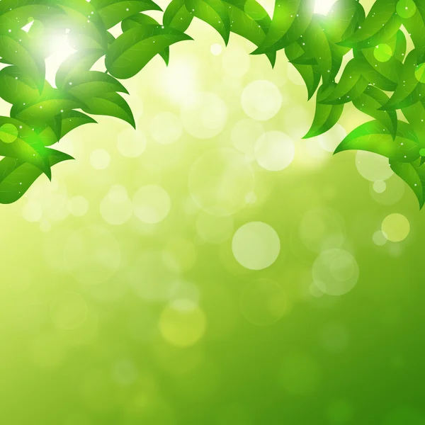 Green Spring Background — Stock Photo, Image