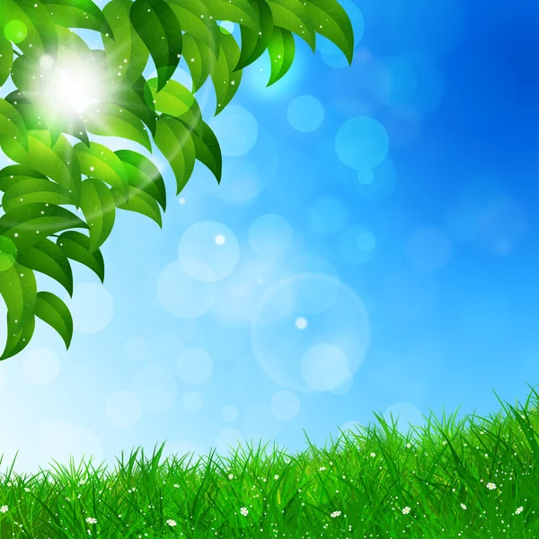 Spring Nature Background — Stock Photo, Image