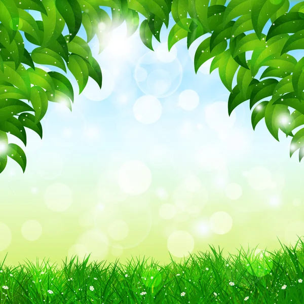 Natureza verde primavera fundo — Fotografia de Stock