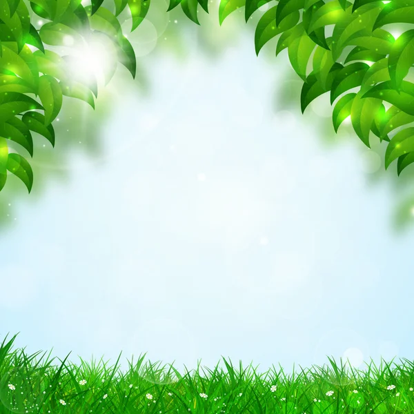 Nature Spring Background — Stock Photo, Image