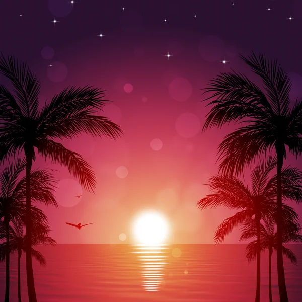 Krásná tropická noc — Stock fotografie
