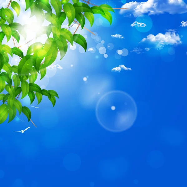 Blue Nature Background — Stock Photo, Image