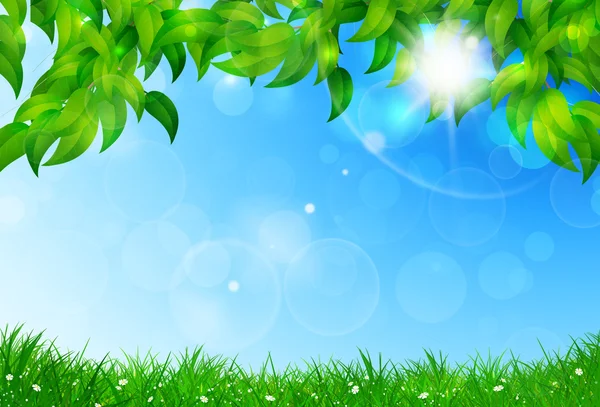 Summer Nature Background — Stock Photo, Image