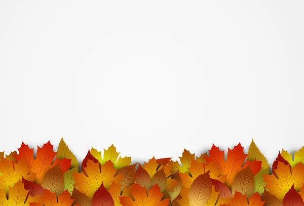 Jesień Biały Sztandar Ozdoba Spadające Złote Liście — Zdjęcie stockowe
