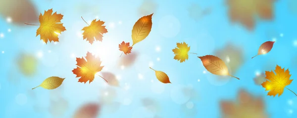黄色の葉が落ちる秋の明るい旗 — ストック写真