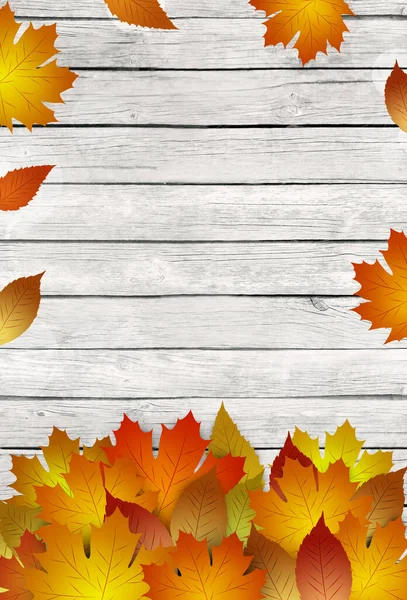 白い木のバナーの装飾に秋の黄金の黄色の葉 — ストック写真