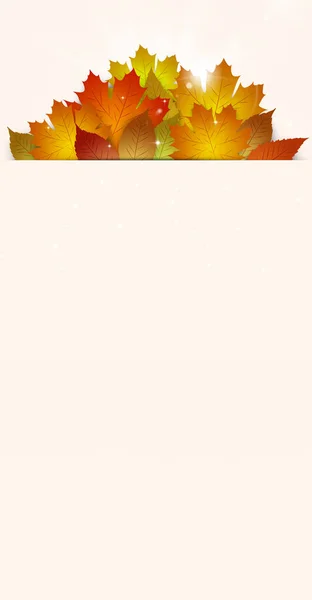 Herfst Bladeren Banner Voor Kennisgeving Huidige Kaarten — Stockfoto