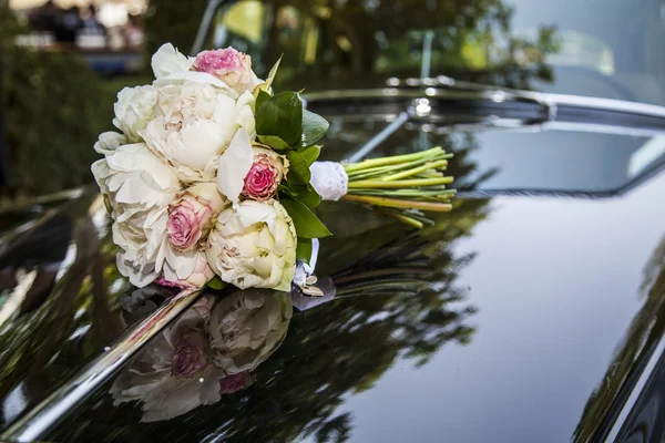 Bride and groom holding hands — Stock Photo, Image