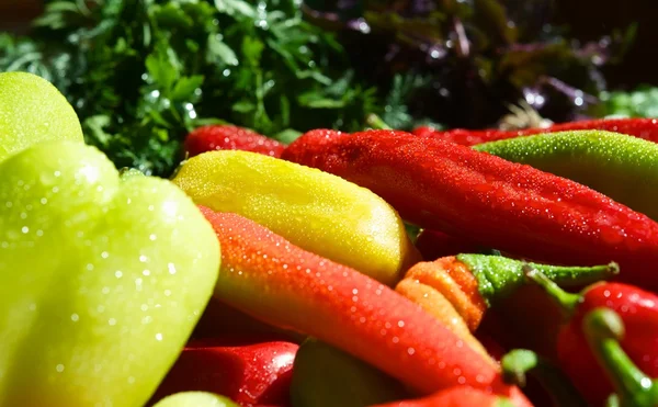 Läckra grönsaker — Stockfoto