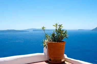 santorini türleri