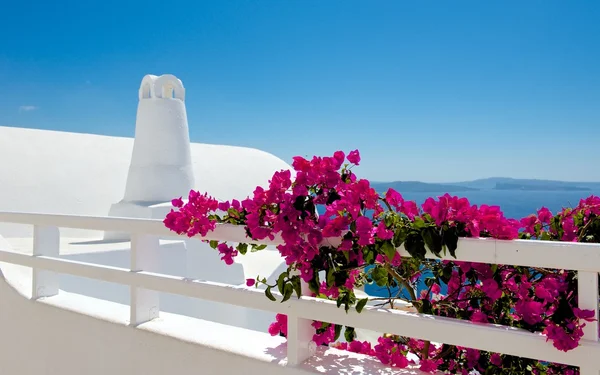 Terraços brancos de Santorini Imagem De Stock