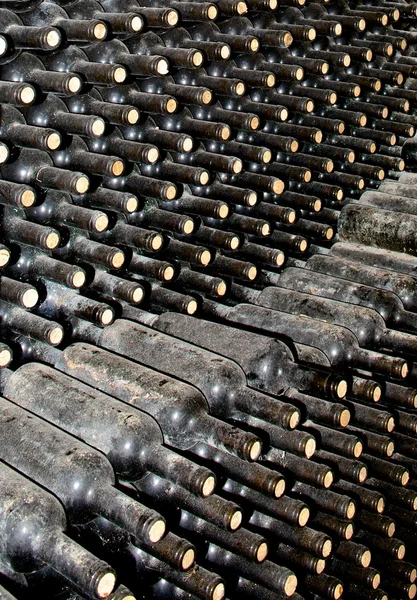 Una cantina di vini . — Foto Stock