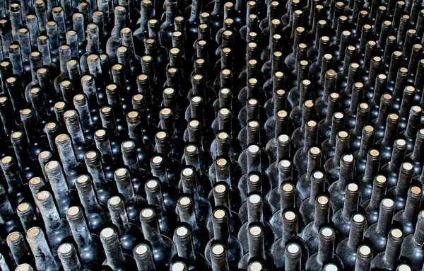 O armazenamento do vinho . — Fotografia de Stock