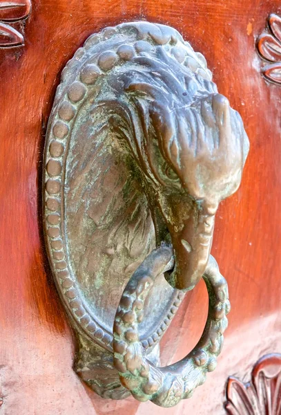 Door handle head griffin — Stock Photo, Image