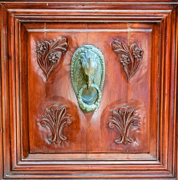 Door handle head griffin — Stock Photo, Image