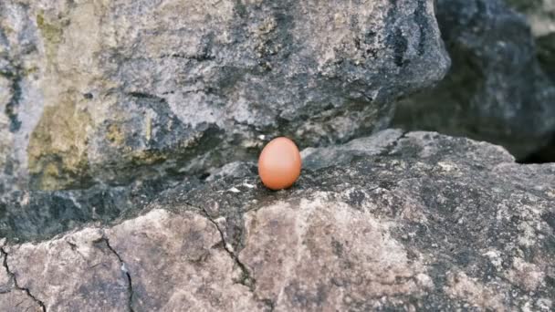 Tavuk Yumurtası Bir Adamın Elinde Çekiçle Kırılır Yavaş Çekim Videosu — Stok video