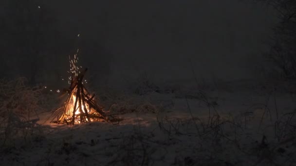 Quema Fogatas Bosque Invierno Por Noche Durante Las Nevadas — Vídeos de Stock