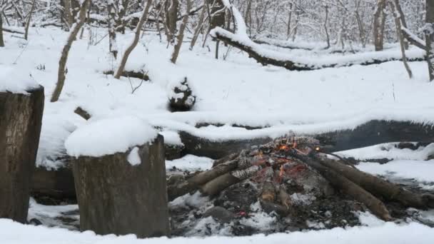 Feuer Winterwald Zwischen Schneeverwehungen — Stockvideo
