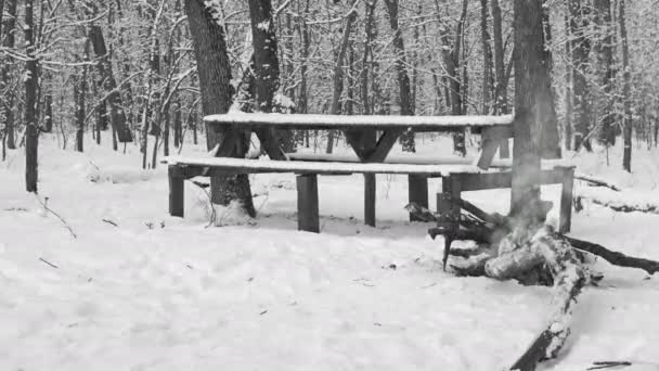 Tisch Winterwald Neben Einem Rauchenden Feuer Mit Fallendem Schnee — Stockvideo