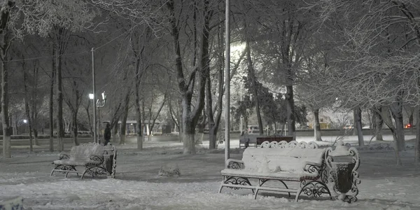 Two Benches Winter Park Lot Snow Lit Lanterns — Stock Photo, Image