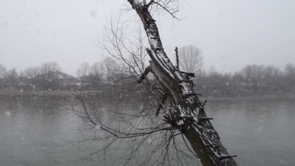 River Early Winter Heavy Snowfall — Stock Video
