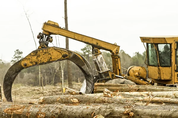 Big Claw — Stock Photo, Image