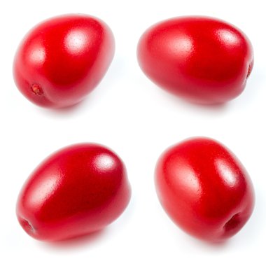 Kenan. Beyaz bir arka plan üzerinde izole koleksiyonu.