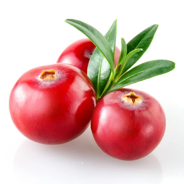 Cranberry with leaf on white background — Stock Photo, Image