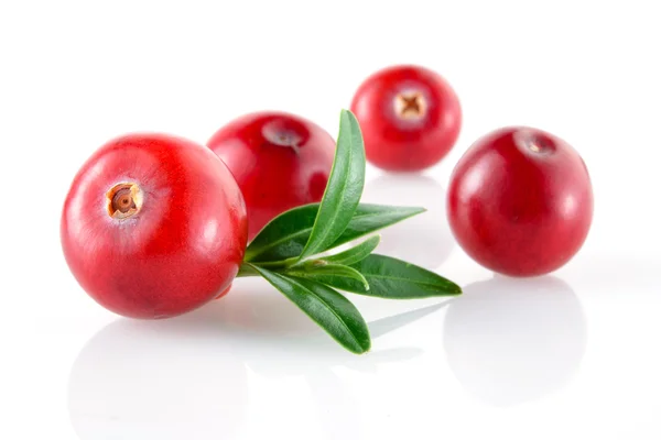 Cranberry isolado — Fotografia de Stock
