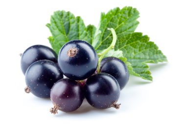 Siyah frenk üzümü izole