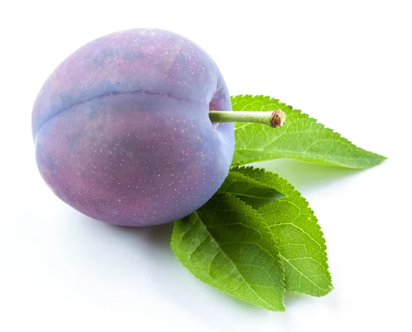 Plum isolated — Stock Photo, Image