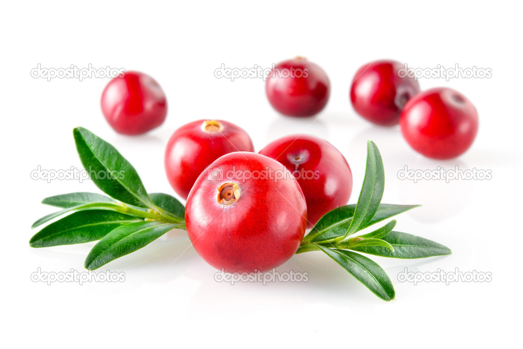Cranberry with leaves in closeup