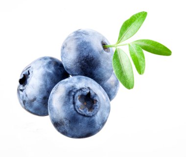 yaban mersini ile üzerine beyaz izole yaprakları
