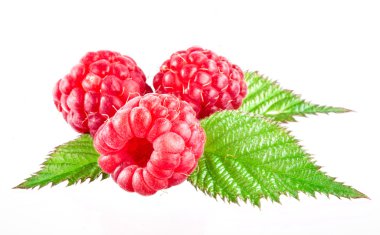 Beyaz arkaplanda yalıtılmış ahududu