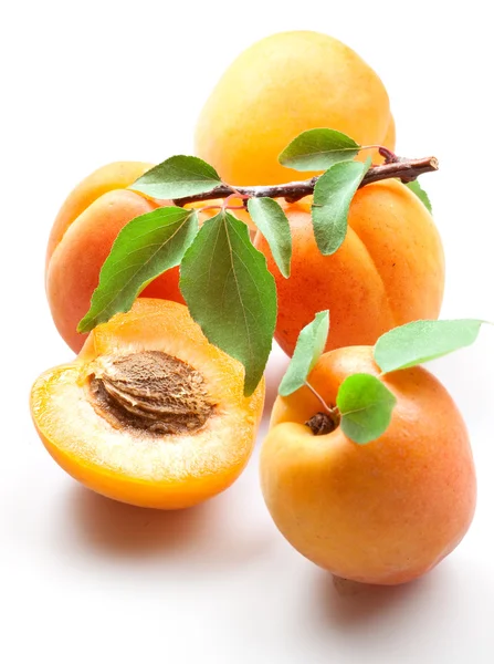 Abricots avec feuilles isolées sur blanc — Photo