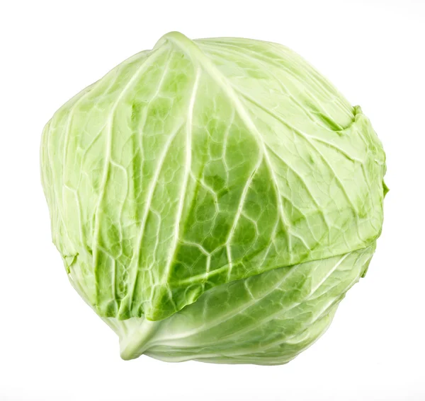 Cabbage on white background — Stock Photo, Image