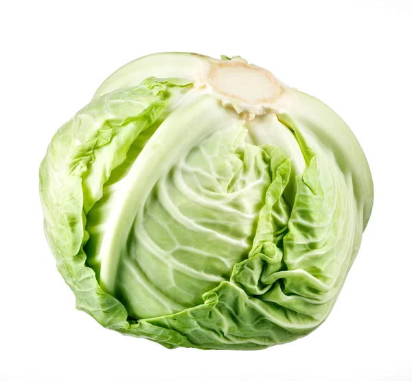 Cabbage isolated — Stock Photo, Image