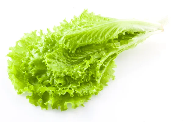 Ensalada de lechuga verde fresca — Foto de Stock