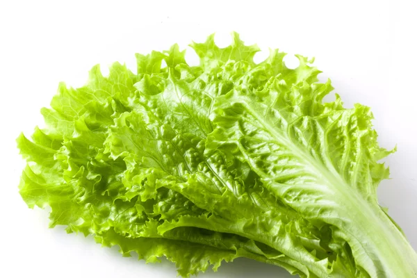 Frischer Salat isoliert auf weiß — Stockfoto