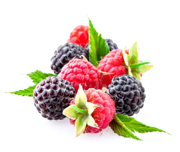 浆果。树莓和黑莓 — 图库照片