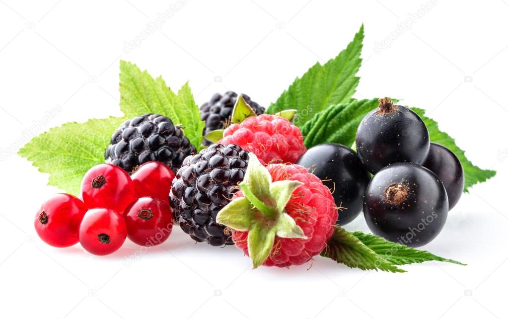 Collection of wild berries on a white background