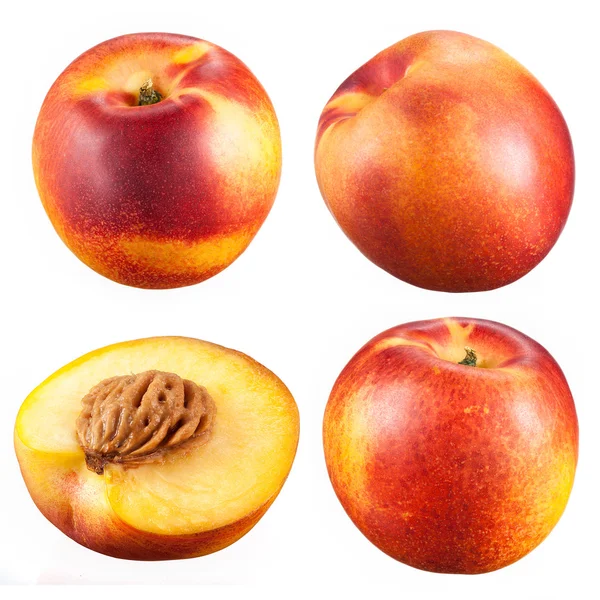 Collection of nectarines with a half isolated on white backgroun — Stock Photo, Image