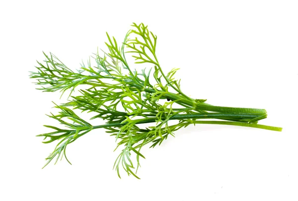 Fresh raw dill isolated on white — Stock Photo, Image