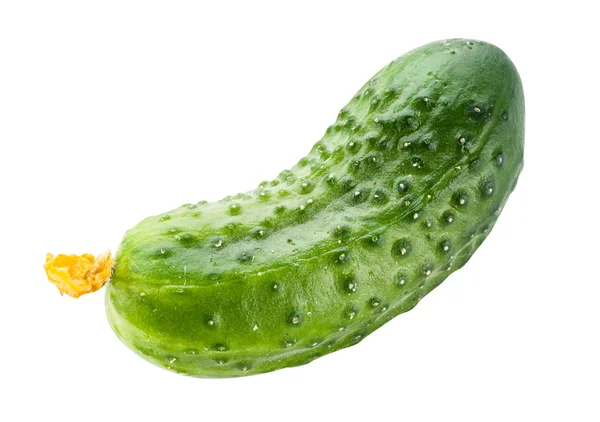 Cucumber isolated. with clipping path — Stock Photo, Image