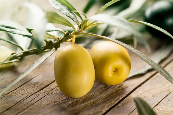 Aceitunas verdes con hojas —  Fotos de Stock