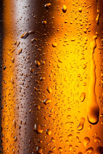 Beer background — Stock Photo, Image