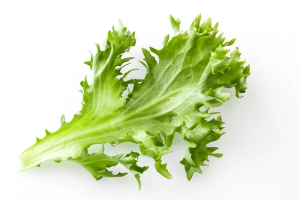 Friss saláta saláta elszigetelt fehér — Stock Fotó