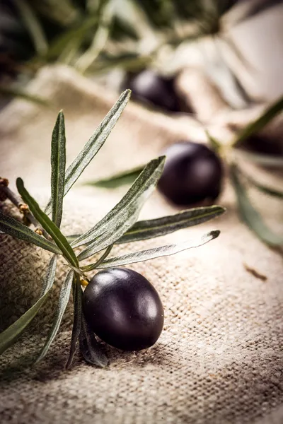 Zwarte olijven met bladeren. biologisch voedsel — Stockfoto