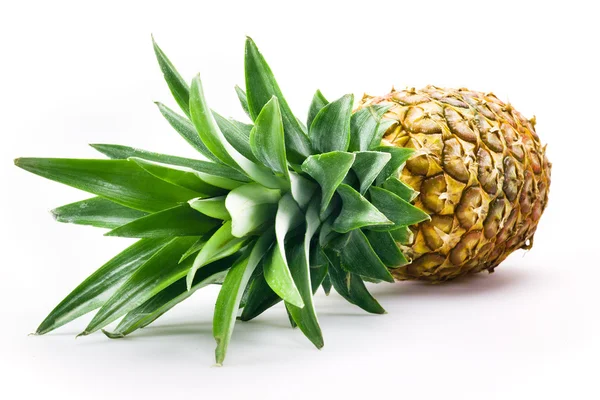 Beyaz arka plan üzerinde izole taze ananas — Stok fotoğraf