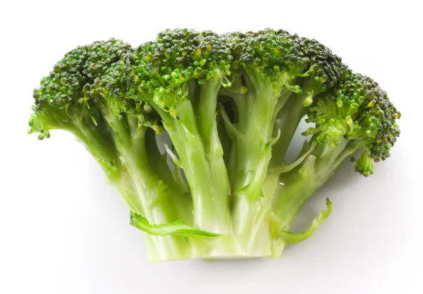 Tak van broccoli op witte achtergrond — Stockfoto